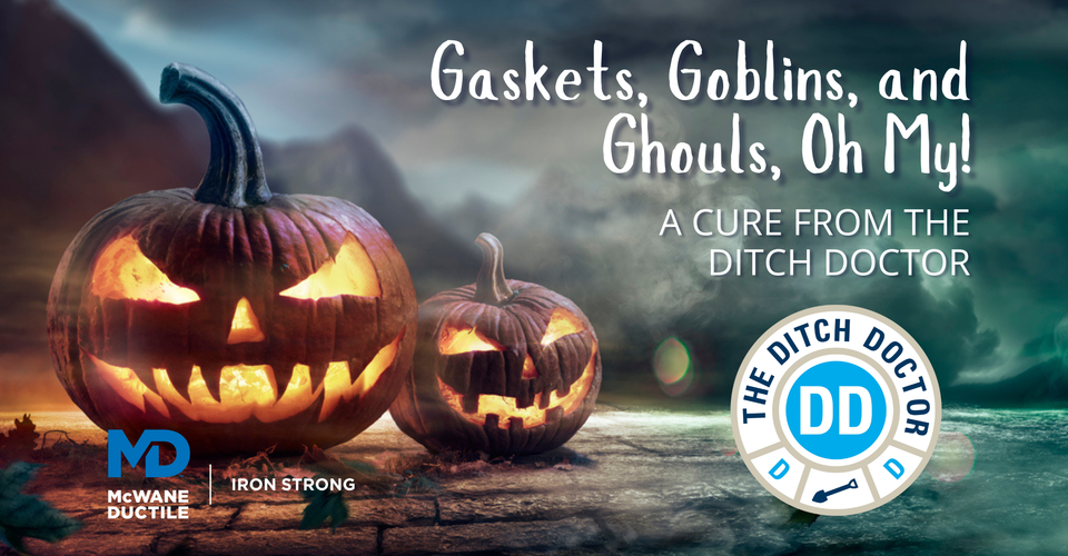 Gaskets, Goblins, and Ghouls, Oh My! A Cure from the Ditch Doctor