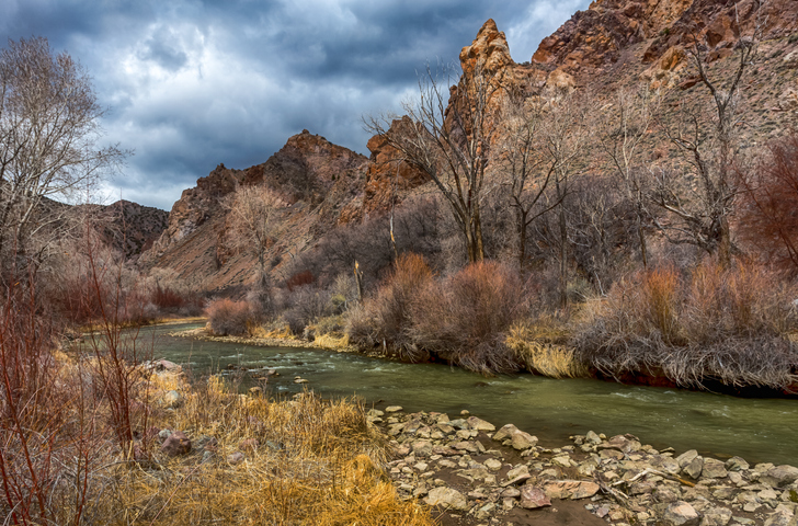 The mountain stream starts it's journey.